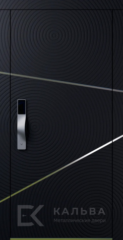 Фото «Дверь с электронным замком №31»